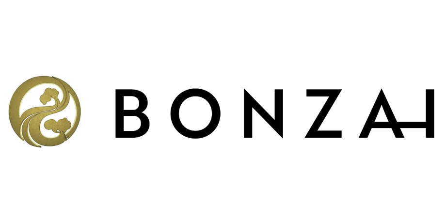 Founded Bonzai AI